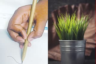 Plants grow with this pen.