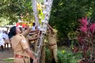 Man hangs upside down on a coconut tree for more than 30 min, later rescued