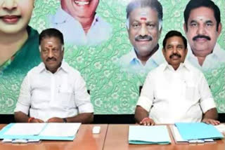 Saffron embrace and AIADMK's descent to chaos