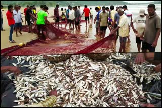 Traditional Fishing In Karwar