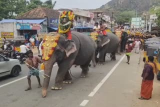 முப்பந்தல் ஆலமூடு அம்மன் கோயில் ஆடி கொடை திருவிழா: நெத்திபட்டம் சூட்டிய யானைகள் பவனி!