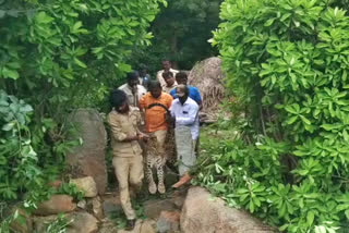 Leopard rescue in Kolar, Leopard fell illness in Kolar, Leopard rescued by Forest department in Kolar, Kolar news, ಕೋಲಾರದಲ್ಲಿ ಚಿರತೆ ರಕ್ಷಣೆ, ಕೋಲಾರದಲ್ಲಿ ಅಸ್ವಸ್ಥಗೊಂಡ ಚಿರತೆ, ಕೋಲಾರದಲ್ಲಿ ಅರಣ್ಯ ಇಲಾಖೆಯಿಂದ ಚಿರತೆ ರಕ್ಷಣೆ, ಕೋಲಾರ ಸುದ್ದಿ,