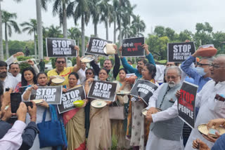 TMC Staged Sit In Protest Outside Parliament