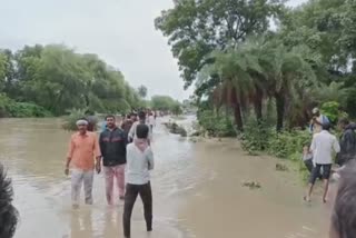 shajapur flood water