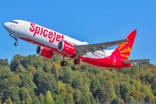 'Inadequate maintenance'; 'poor internal safety oversight': Full text of DGCA order against SpiceJet