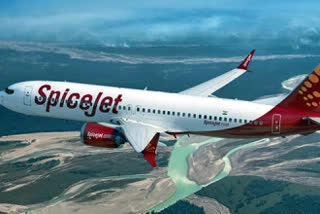 Spicejet