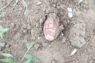 hand-grenade-found-in-rajouri-village, SECURITY FORCES DEFUSSED