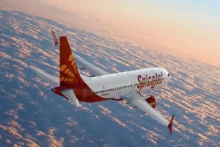 DGCA crackdown on SpiceJet: To run only 50% of flights for 8 weeks; 'no impact on ops'  says airline  തുടര്‍ച്ചയായ സാങ്കേതിക തകരാര്‍  സ്‌പൈസ് ജെറ്റിനെതിരെ നടപടിയുമായി ഡിജിസിഎ  ഡിജിസിഎ  DGCA takes action against Spice Jet  സ്‌പൈസ് ജെറ്റ്  സ്‌പൈസ് ജെറ്റ് തകരാര്‍  സ്‌പൈസ് ജെറ്റിനെതിരെ നടപടിയുമായി ഡിജിസിഎ