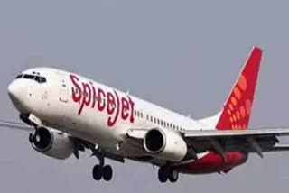 Spicejet Airline