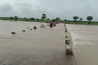 Shivpuri Heavy Rain people taking life risk to cross overflowing bridge