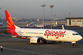 Spice Jet share price drop