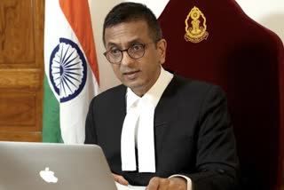 Justice D Y Chandrachud news