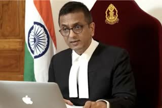 GIVE US A BREAK THERES A LIMIT TO TARGETING JUDGES SAYS JUSTICE DY CHANDRACHUD