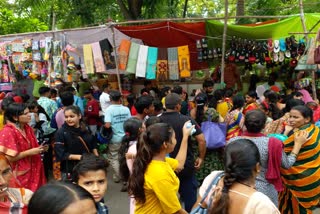 Hariyali Amavasya in UdaipurHariyali Amavasya in Udaipur