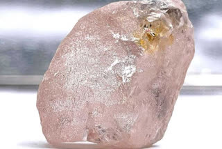 Big pink diamond discovered in Angola  largest in 300 years  പിങ്ക് ഡയമണ്ട്  പിങ്ക് രത്നക്കല്ല്  ലുലോ റോസ് രത്നം  ലുലോ അലുവിയല്‍ ഡയമണ്ട് ഖനി  Lulo Rose  Lulo alluvial diamond mine