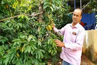 ಮಾದರಿ ರೈತ ವೆಂಕಟರಾಮಾಂಜನೇಯ