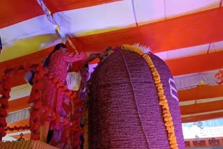 Unique Shivling Made in Indore