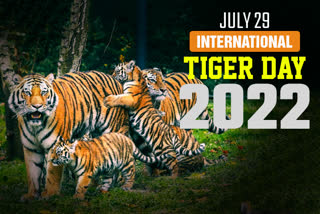 International Tiger Day