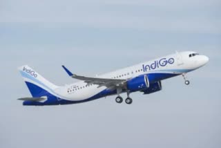 indigo flight cacellation news