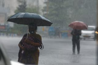 kerala weather updation today  kerala weather alerts  kerala weather condition  Heavy rain kerala  സംസ്ഥാനത്ത് മഴയ്ക്ക് സാധ്യത  കേരളത്തിലെ ഏറ്റവും പുതിയ കാലാവസ്ഥ അറിയിപ്പ്  സംസ്ഥാനത്ത് യെല്ലോ അലര്‍ട്ട്