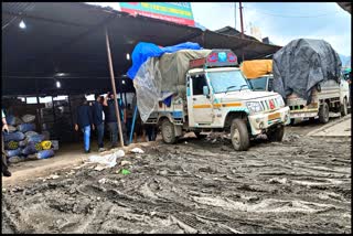 Lack of facilities in Solan Apple Market