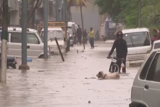 357 Dead, Over 400 Injured due to heavy rains in Pakistan