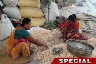 Makhana Farming