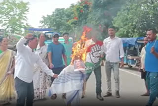 Protest against Smriti Irani