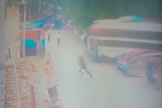 Watch: Bus veers off the road leaving one killed  55 injured  ബസ് മറിഞ്ഞു  ബ്രേക്ക് തകരാര്‍  നിയന്ത്രണം വിട്ട ബസ് മറിഞ്ഞു  ബ്രേക്ക് തകരാര്‍  അപകട ദൃശൃങ്ങള്‍ പുറത്ത്