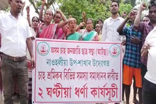 Tea workers protest at Mayajan tea garden in Duliajan