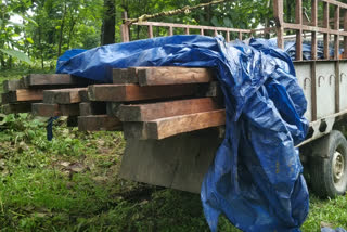 Smuggled wood seized