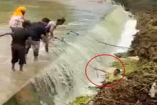 chandrapur-shocking-video-man-drifted-over-dam-of-the-lake