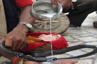 Nag Panchami