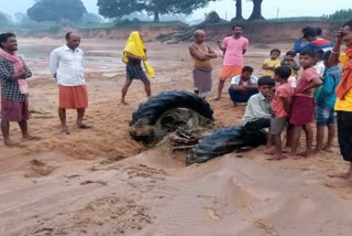 Three tractors engaged in illegal sand mining in Hazaribag submerged in Chorka river