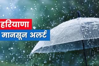 monsoon rain in haryana