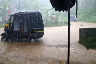 heavy rain in kottayam  landslide in thumarampara forest  erumeli rain  kottayam district collector  കോട്ടയത്ത് ശക്തമായ മഴ  തുമരംപാറ വനം ഉരുൾപൊട്ടൽ  എരുമേലി ശക്തമായ മഴ  യെല്ലോ അലർട്ട് കോട്ടയം