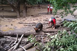 iran flash flood latest  iran raises death toll from flash floods  flash flood in northern iran  iran flash flood death  ഇറാനില്‍ മിന്നല്‍ പ്രളയം  ഇറാന്‍ കനത്ത മഴ വെള്ളപ്പൊക്കം  ഇറാന്‍ മിന്നല്‍ പ്രളയം മരണം  ഇറാന്‍ കനത്ത മഴ പ്രളയം