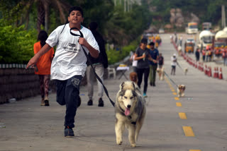 Dog Marathon