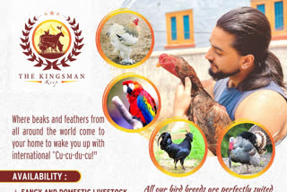 ماڈل اکبر ٹانگو نے تعلیم کے ساتھ جانوروں کا کاروبار شروع کیا
