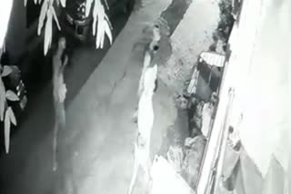 Ujjain Chori CCTV