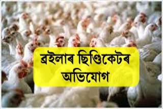 Broiler syndicate Dhubri