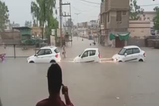 Hanumangarh water logging