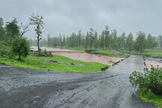 Rain in Dang:  પૂર્વ મંજૂરી વિના જિલ્લા અધિકારીઓને હેડ ક્વાર્ટર ન છોડવાની તાકીદ