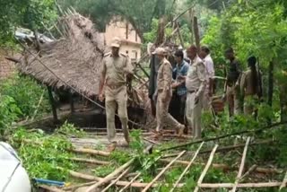 Forest department removed encroachment