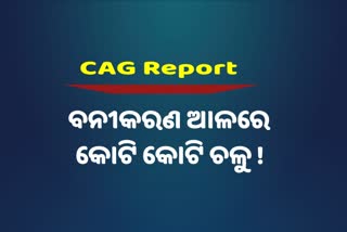 CAG Report