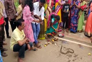 nagarpanchami-celebration-with-live-indian-cobra-in-haveri