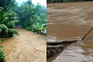 Heavy rain fall in Pathanamthitta  The shutters of Moozhiyar Dam were opened  Three relief camps in the Pathanamthitta district  heavy rain fall in kerala  പത്തനംതിട്ടയില്‍ കനത്ത മഴ  മൂഴിയാര്‍ ഡാമിന്‍റെ ഷട്ടറുകള്‍ തുറന്നു  പത്തനംതിട്ട ജില്ലയില്‍ ദുരിതാശ്വാസ ക്യാമ്പുകള്‍