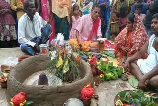 frog-wedding-in-palamu-for-rain