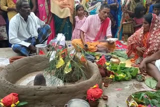 frog-wedding-in-palamu-for-rain