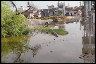 Sui village of Bhiwani